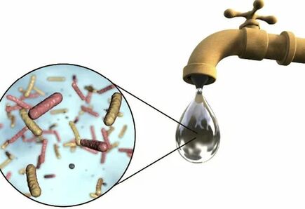Parasiten in einem Tropfen Kranwasser