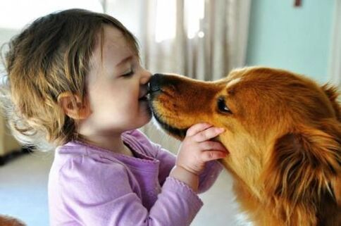 Wurminfektion eines Hundes